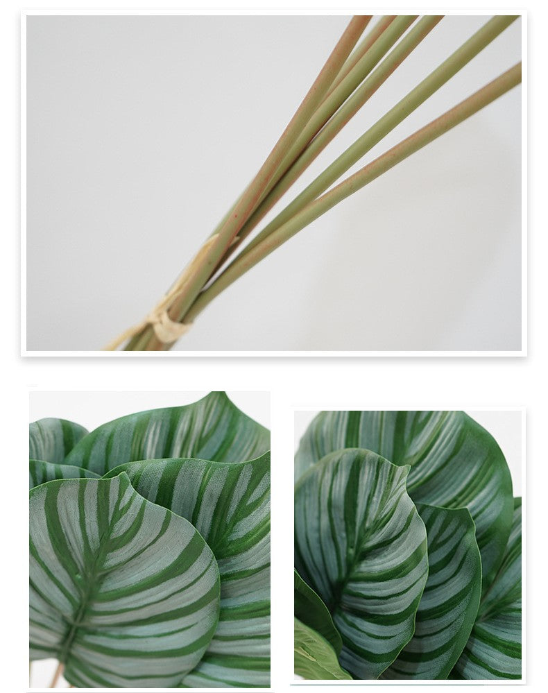 Wholesale Artificial Calathea Orbifolia Turtle Leaf Tropical Arrowroot 6 Stems 22 Inch