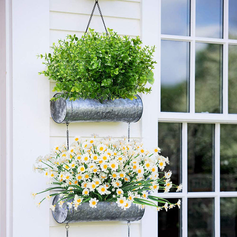 Wholesale Clearance! Bulk UV - Resistant Boxwood Bush Plants for Outdoor Use