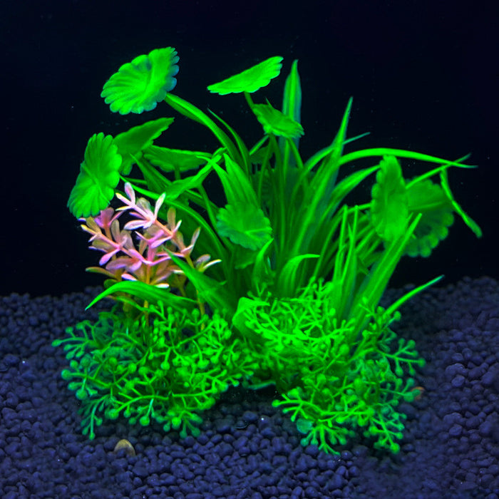 Bulk 8 Pack Aquarium Plants Underwater Plants Aquarium Fish Tank Landscaping Plants Wholesale