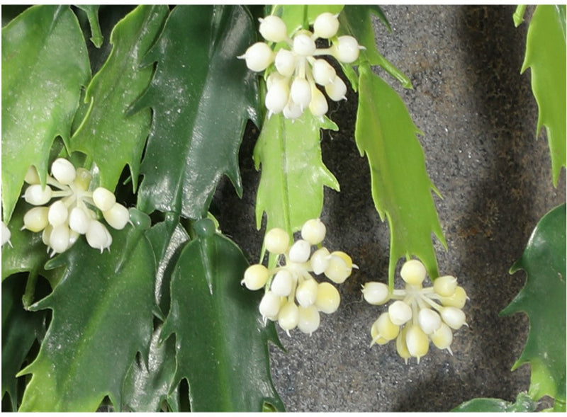 Wholesale Artificial Crab Cactus Thanksgiving Cactus Schlumbergera Bush Hanging Decoration 21 Inch