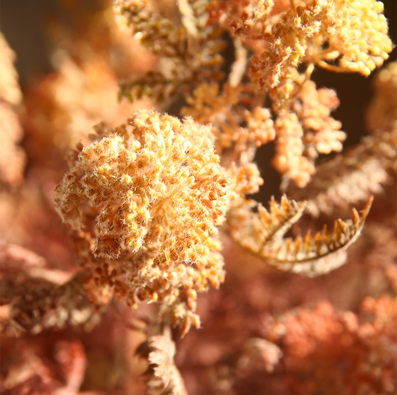 Fleurs artificielles en tige de pissenlit floquée en vrac de 27 pouces en gros 
