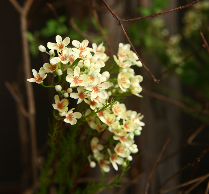 Tige de fleur de cire en vrac de 31 pouces Chamelaucium Uncinatum Fleurs artificielles en gros 