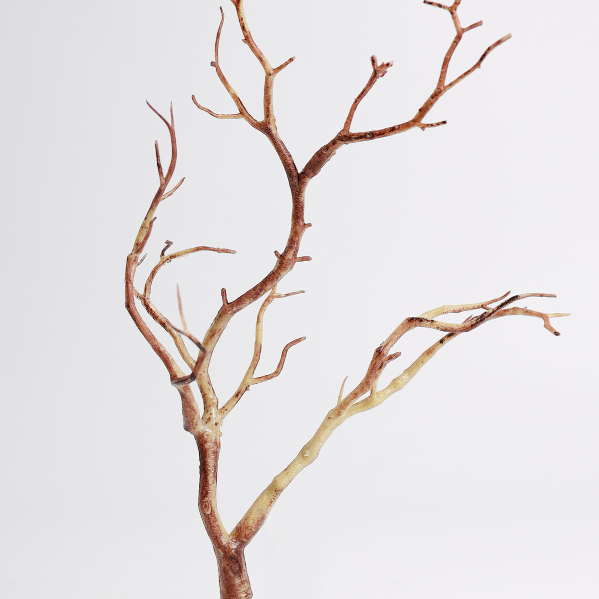 Clearance Bulk 13" Manzanita Branches Plant Twigs for Table Centerpiec