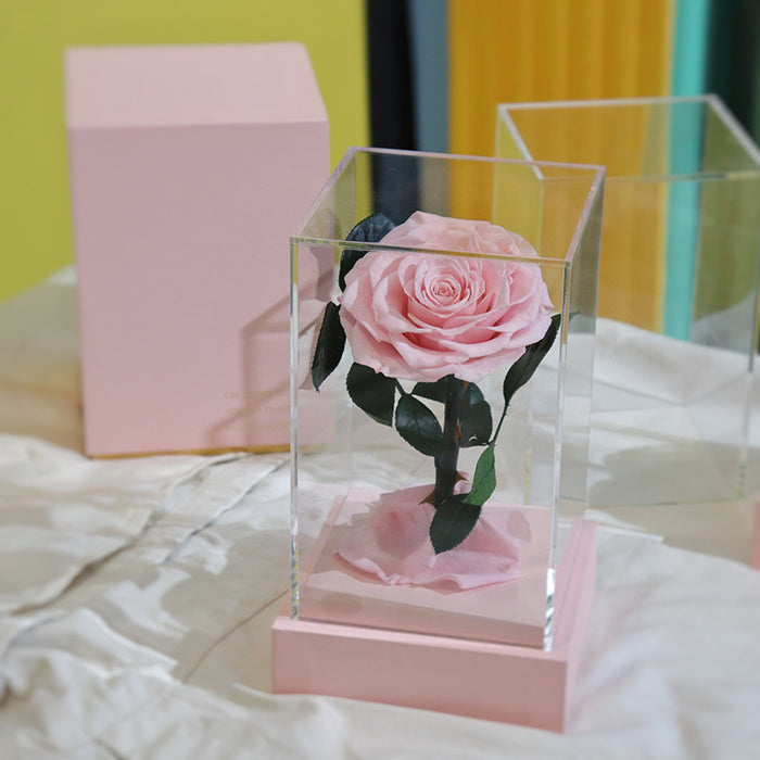 Regalos de rosas preservadas clásicas de caja única de acrílico