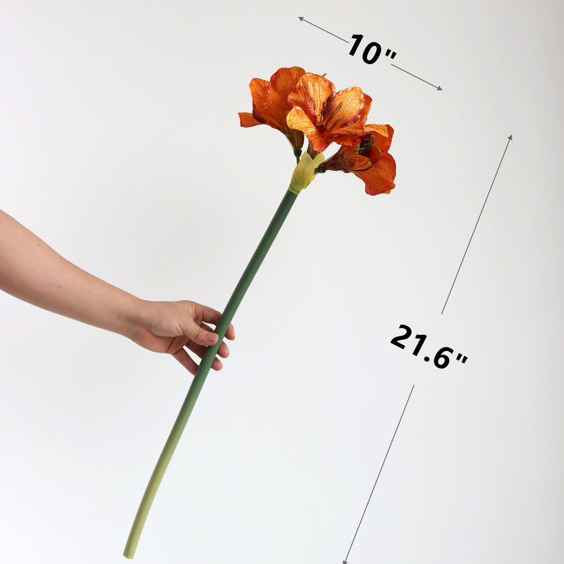 Premium Velvet Amaryllis Stem