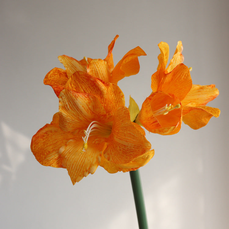 Premium Velvet Amaryllis Stem