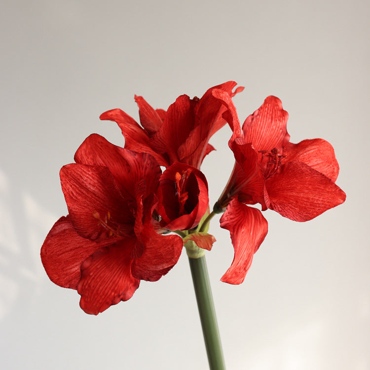 Premium Velvet Amaryllis Stem