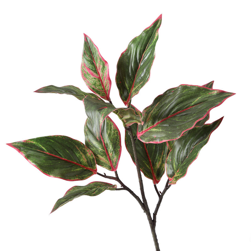 Bulk 31" Artificial Aglaonema Plant Calatheas Rohdea Leaf Red Edge Siam Leaves Artificial Wholesale