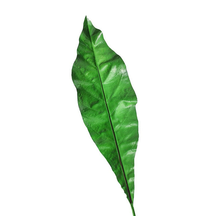 Bulk Artificial Apista Banana Leaf Foliage Greenery Plant 25 Inch Wholesale