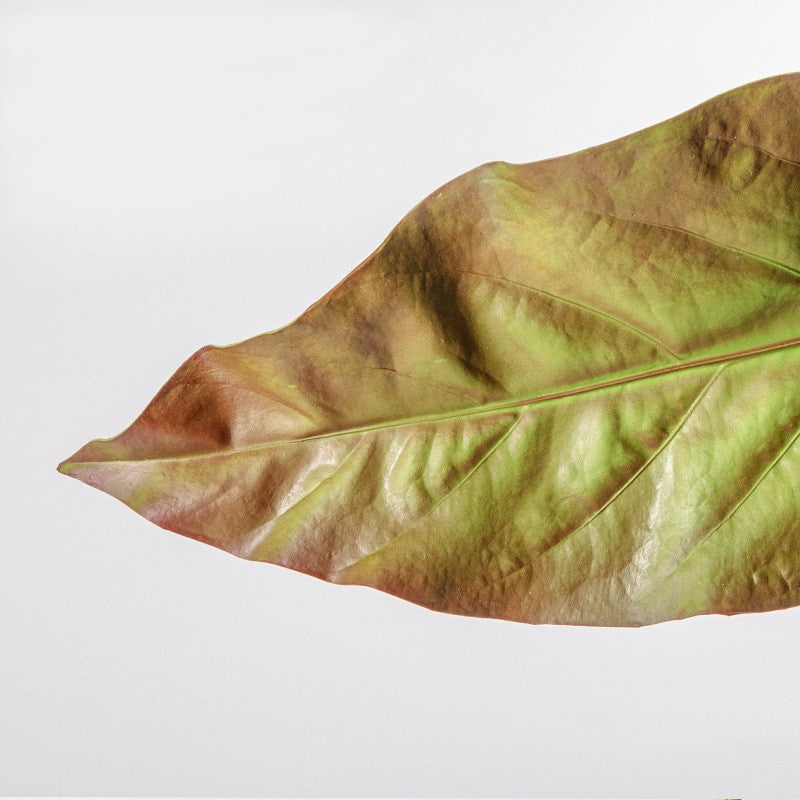 Feuille de bananier artificielle Apista en vrac, feuillage vert, 25 pouces, vente en gros 