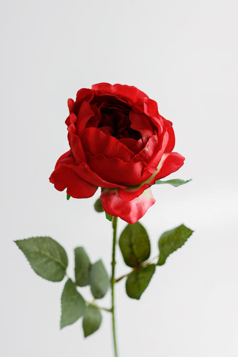 AM Basics 26" Austin rosas tallo flores artificiales