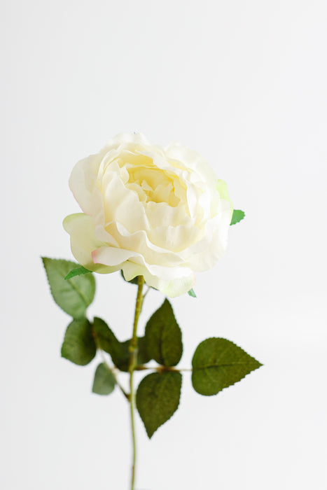 AM Basics 26" Austin rosas tallo flores artificiales
