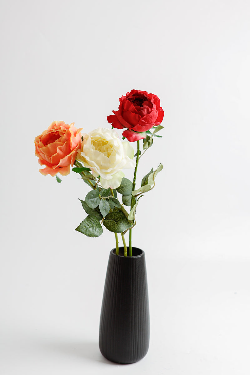 AM Basics 26" Tige de roses Austin Fleurs artificielles