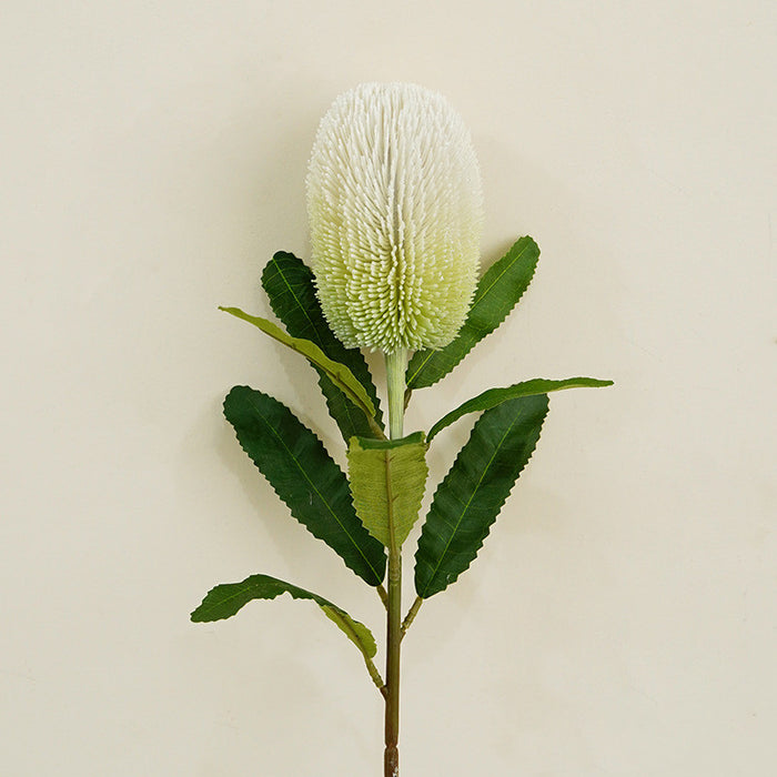 Tallo de flor de Banksia Protea artificial a granel 25 pulgadas al por mayor