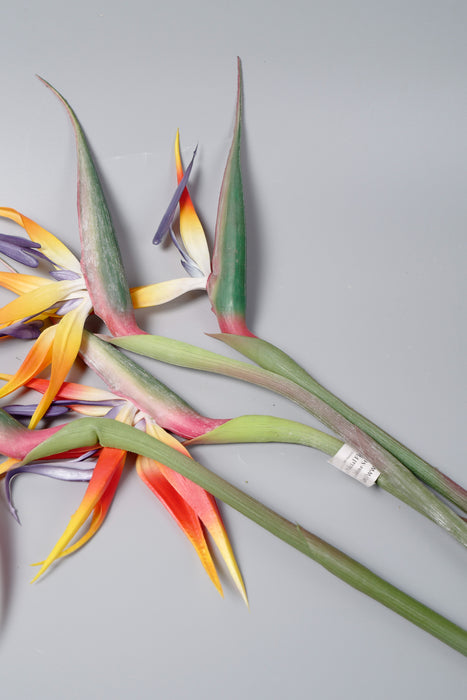 Bulk 39“ AM Basics Artificial Bird of Paradise Flowers Wholesale