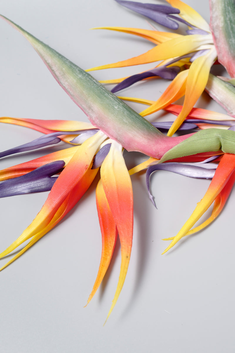 Fleurs artificielles d'oiseau de paradis AM Basics en vrac de 39 po en gros