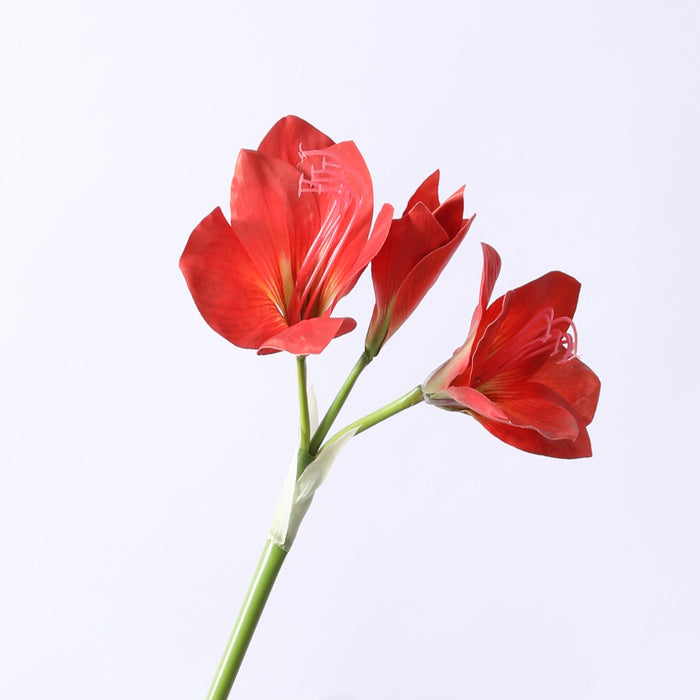 Bulk 22" Clivia Miniata Flower Natal Lily Stem Flores de seda al por mayor 