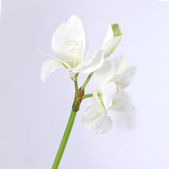 Bulk 22" Clivia Miniata Flower Natal Lily Stem Flores de seda al por mayor 