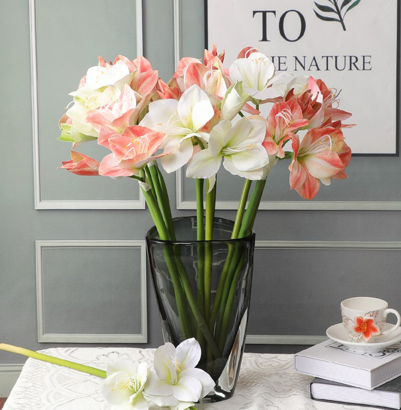 Fleurs de lys de Noël en soie de 22 pouces en vrac Clivia Miniata 