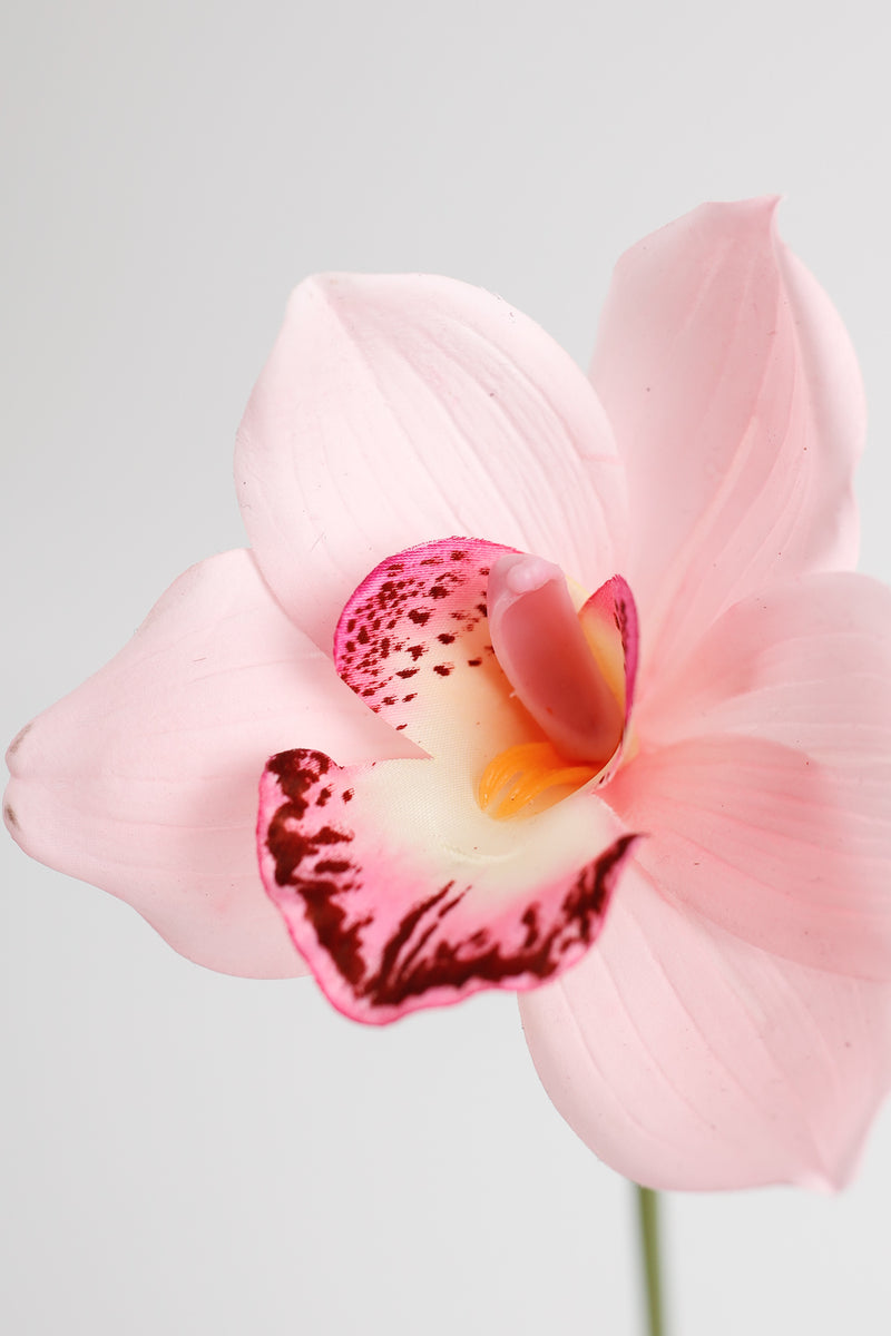 Bulk AM Basics 10" Cymbidium Stems Real Touch Flowers Artificial Wholesale