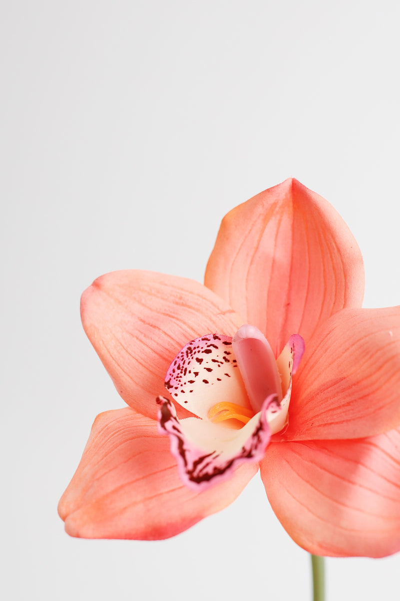 Bulk AM Basics 10" Cymbidium Stems Real Touch Flowers Artificial Wholesale