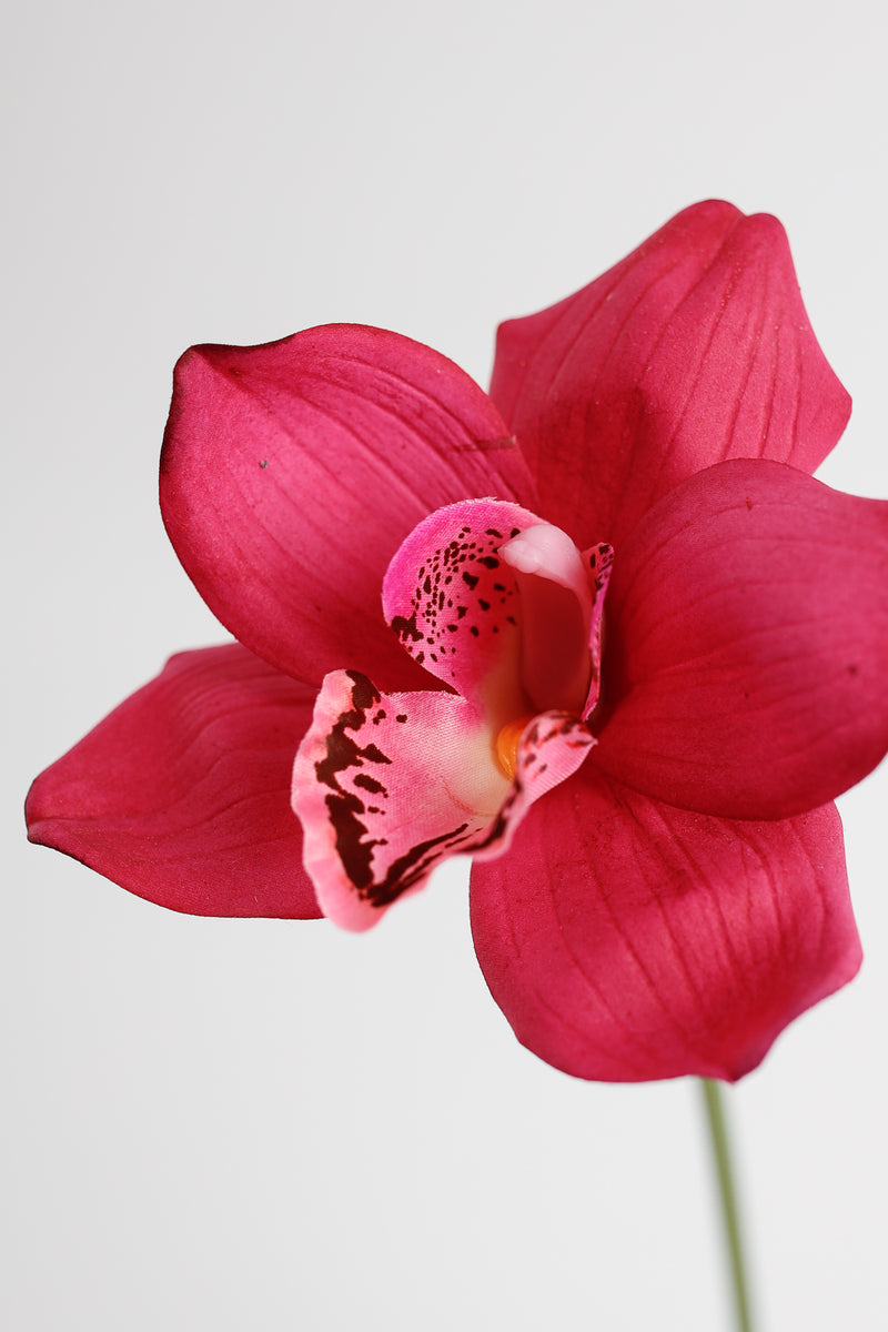 Bulk AM Basics 10" Cymbidium Stems Real Touch Flowers Artificial Wholesale