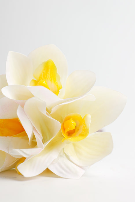 AM Basics 10" Primavera Cymbidium Orquídeas Tallo Real Touch Flor
