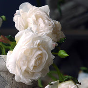 1 Branch Artificial Dried Rose Flowers Bouquets - Artificialmerch