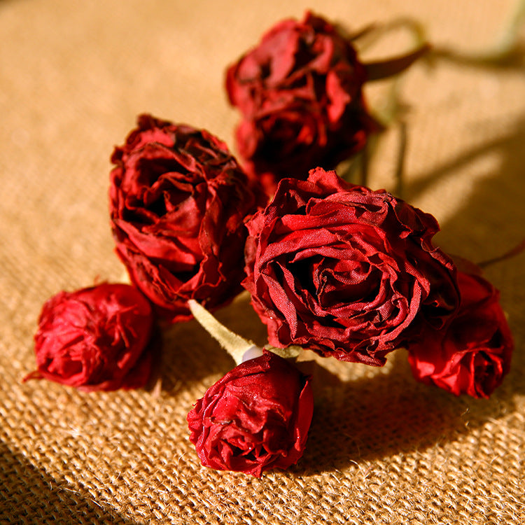 Tiges de roses brûlées en vrac de 20 pouces Fleurs en soie Arrangement artificiel d'automne Décoration en gros 