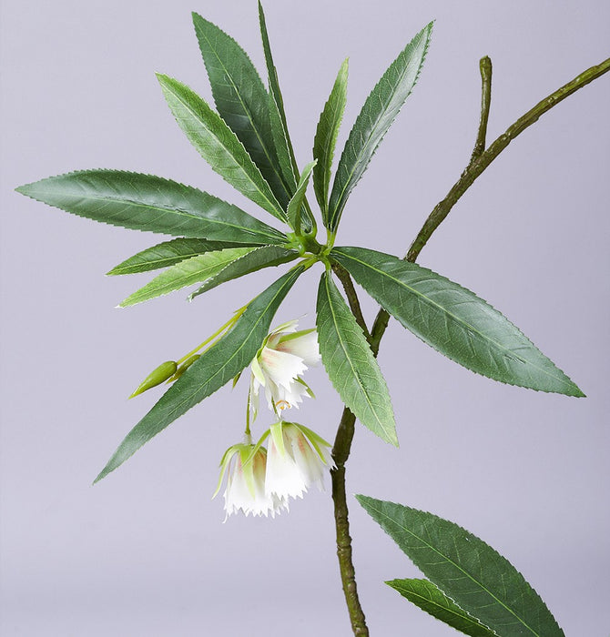 Tallo de follaje de flor de Elaeocarpus artificial a granel 35 pulgadas al por mayor 