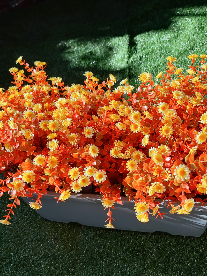 Bulk 8 Bundles Autumn Mum Daisy Bush UV Resistant Plants Flowers for Outdoor Wholesale