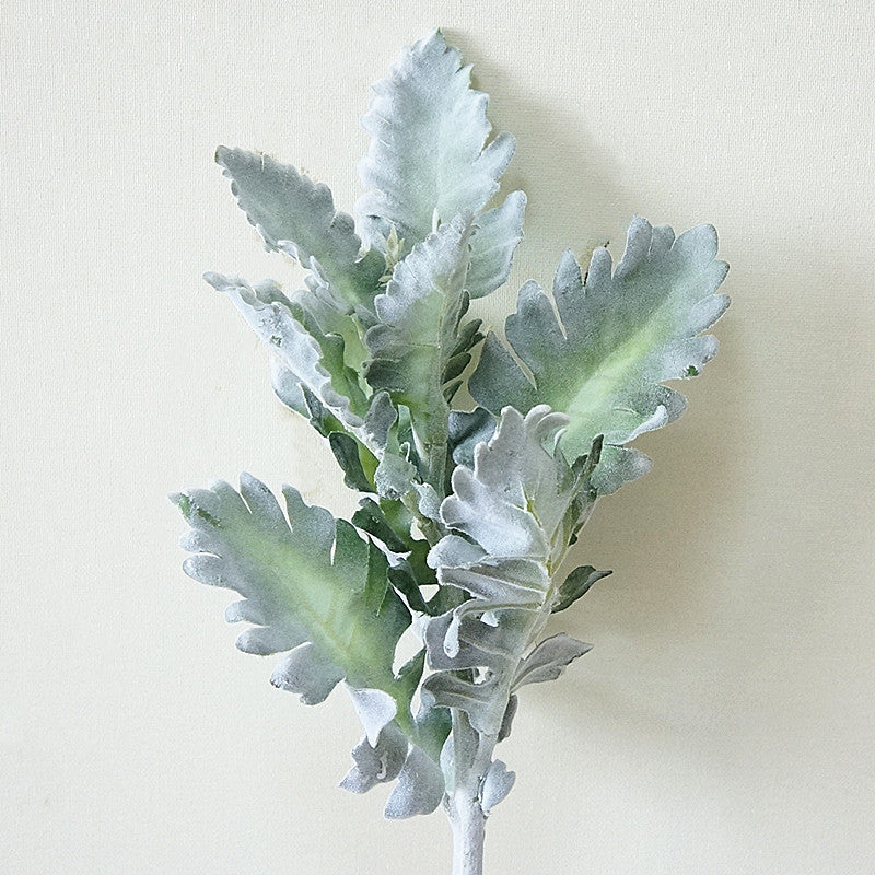 Feuilles d'oreille d'agneau en vrac de 15 pouces Tiges Dusty Miller Tiges de feuillage de séneçon argenté au toucher réel Vente en gros 
