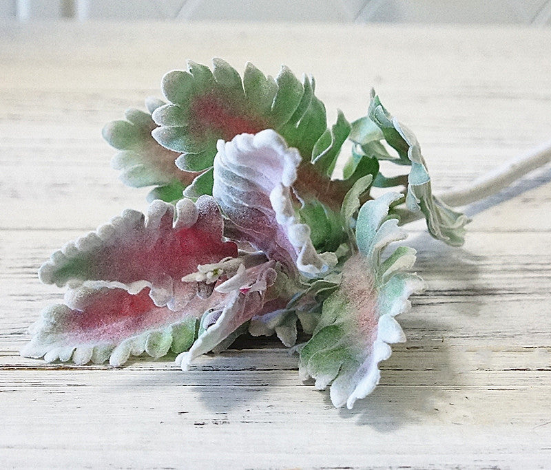 Feuilles d'oreille d'agneau en vrac de 15 pouces Tiges Dusty Miller Tiges de feuillage de séneçon argenté au toucher réel Vente en gros 