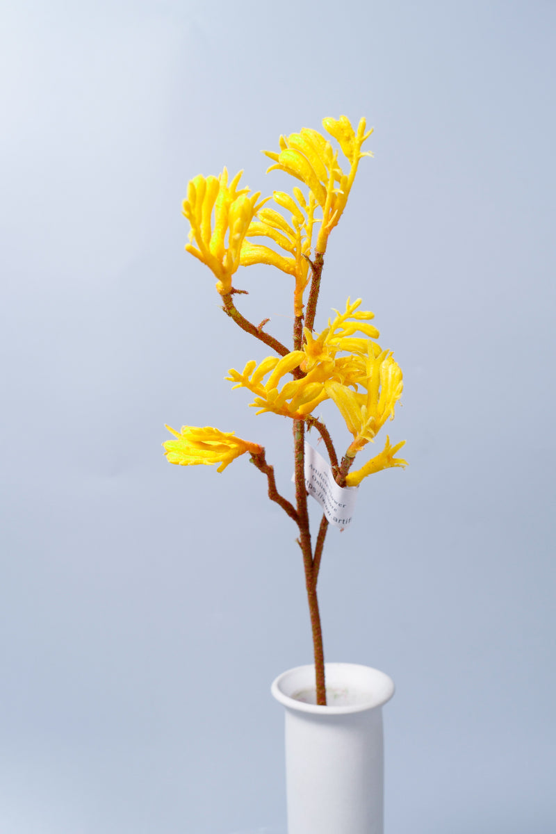 Fleurs artificielles en vrac AM Basics Pattes de kangourou 23 pouces en gros