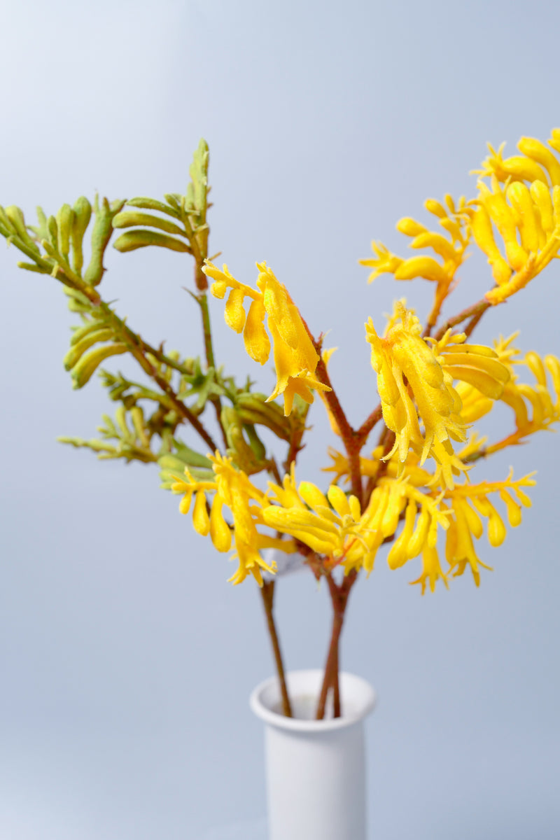 Fleurs artificielles en vrac AM Basics Pattes de kangourou 23 pouces en gros