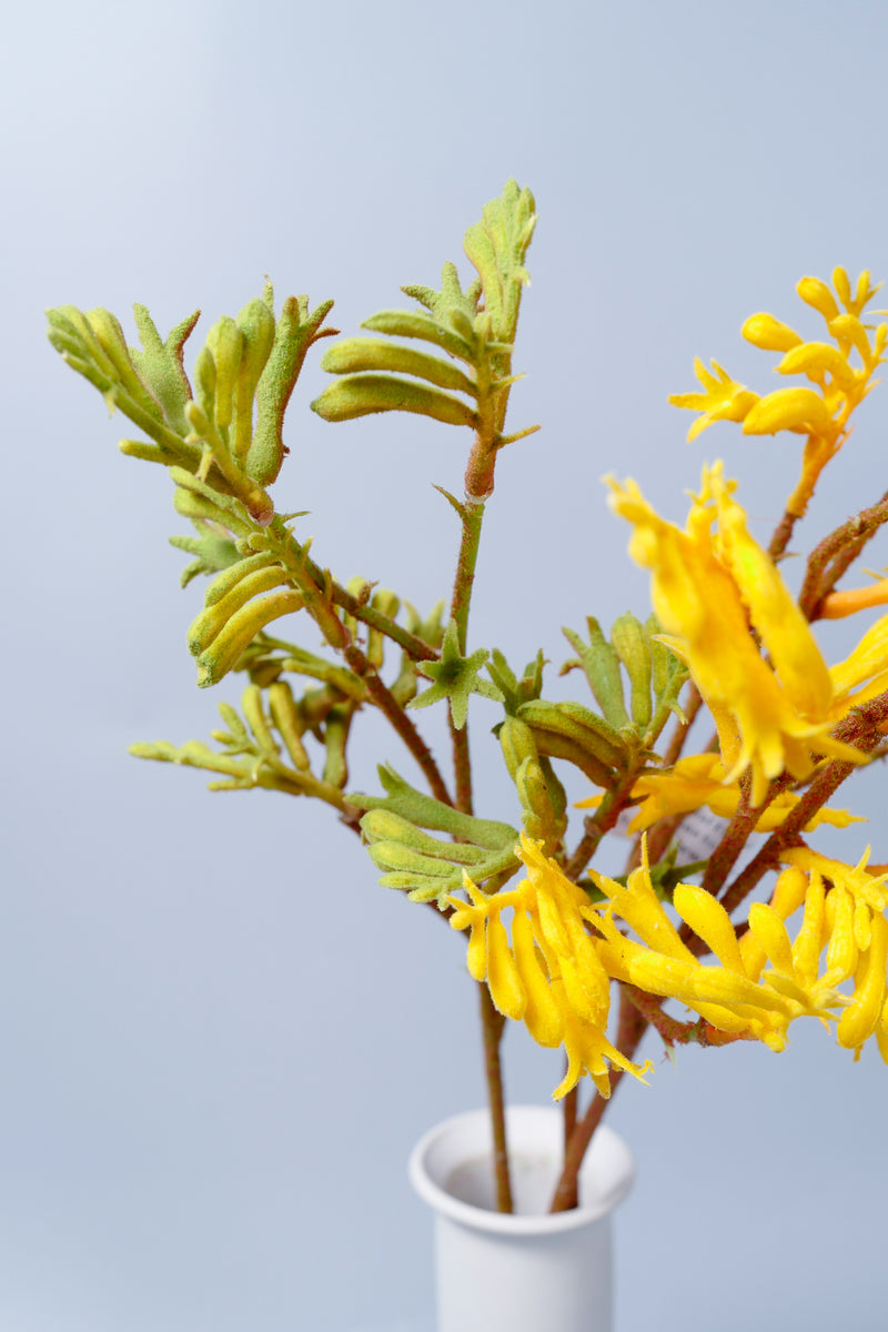 Fleurs artificielles en vrac AM Basics Pattes de kangourou 23 pouces en gros