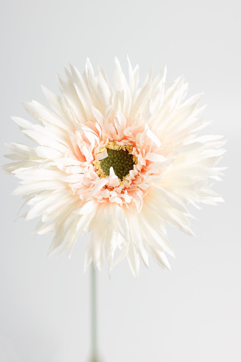 AM Basics Gerber Daisy Artificial Arrangement 17 Inch