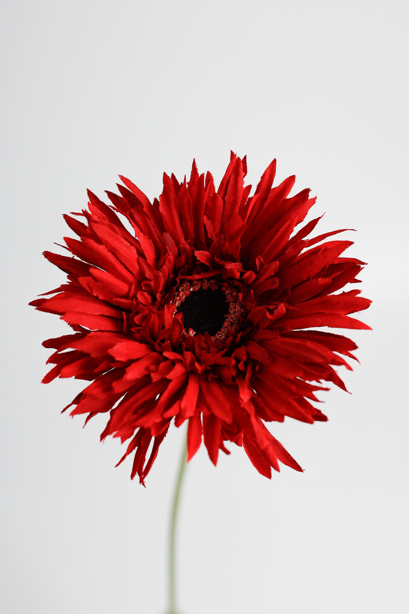 AM Basics Gerber Daisy Artificial Arrangement 17 Inch