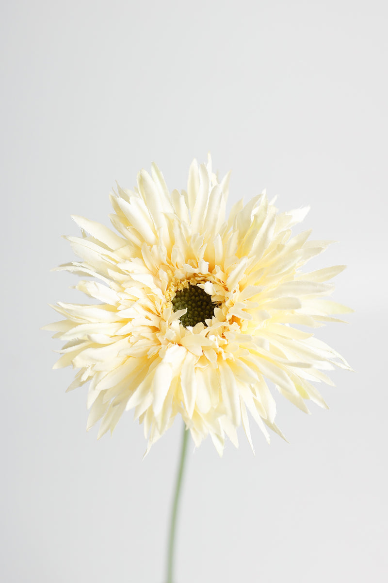 AM Basics Gerber Daisy Artificial Arrangement 17 Inch