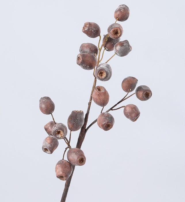 Bulk Artificial Gum Nut Pods Olea Europaea Fruit Eucalyptus Fruit 22 Inch Wholesale