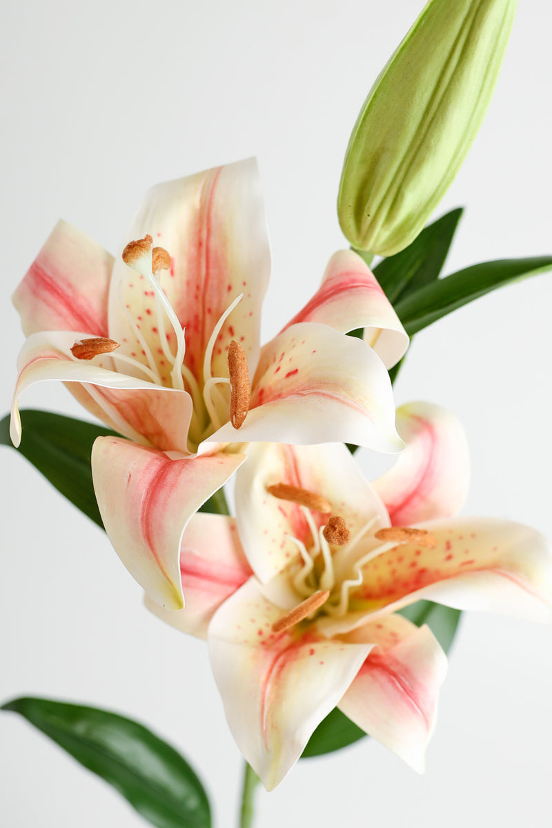 AM Basics 34" Tiger Lily Flores artificiales de tallo largo