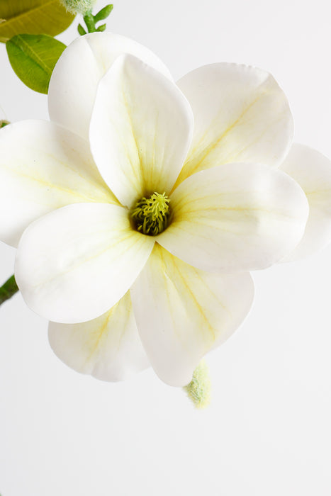 Venta al por mayor de flor de seda artificial de tallo de magnolias de 22 "a granel