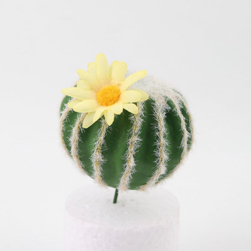 Mini cactus artificiales Suculentas Paisaje del desierto tropical 