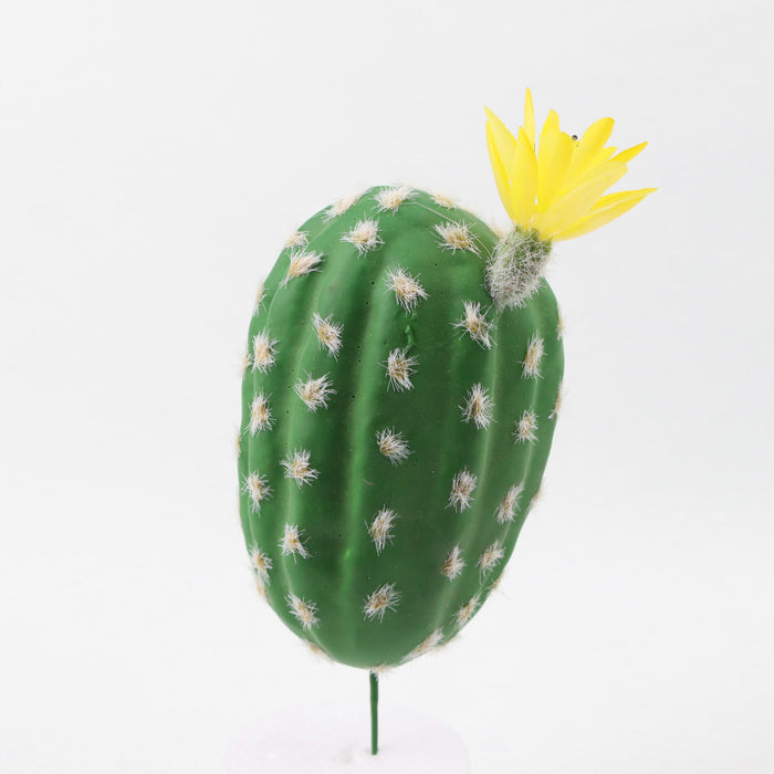 Mini cactus artificiales Suculentas Paisaje del desierto tropical 