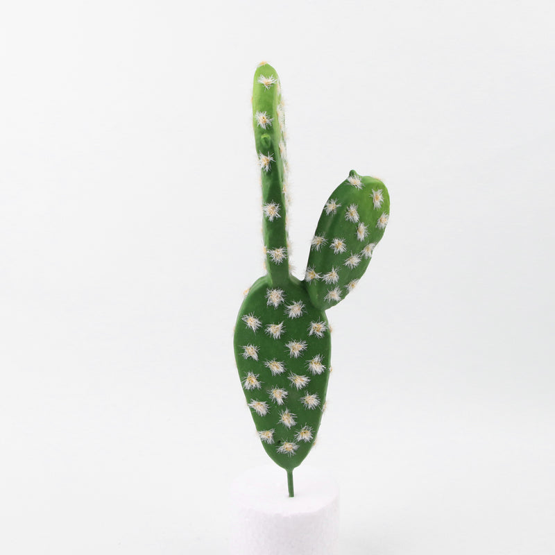 Mini cactus artificiales Suculentas Paisaje del desierto tropical 