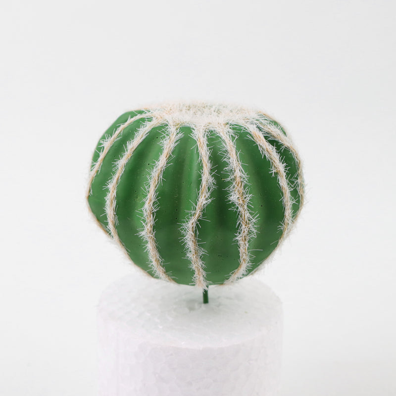 Mini cactus artificiales Suculentas Paisaje del desierto tropical 