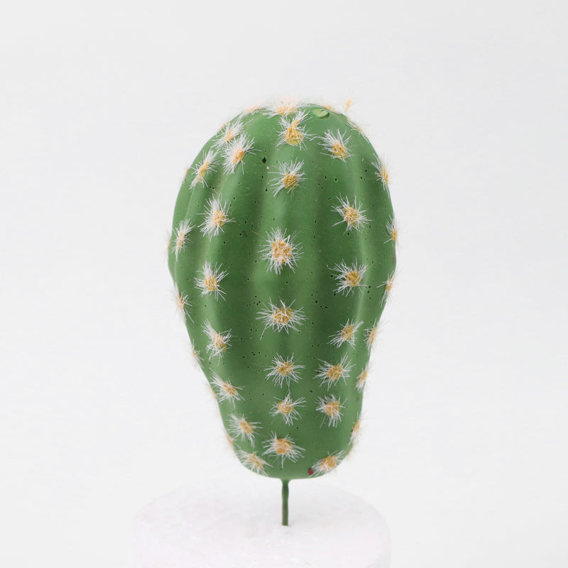 Mini cactus artificiales Suculentas Paisaje del desierto tropical 