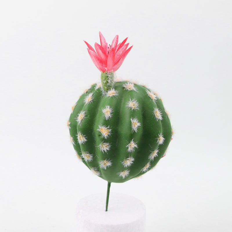 Mini cactus artificiales Suculentas Paisaje del desierto tropical 