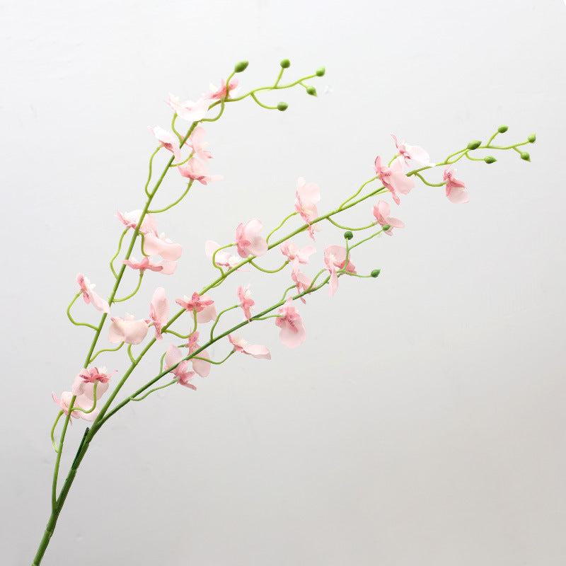 Bulk 31" Dancing Lady Orchids Long Stem Flowers Wholesale