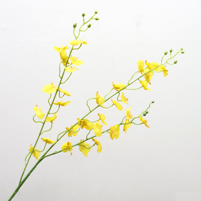 Flores de tallo largo de orquídeas bailarinas de 31 "a granel al por mayor